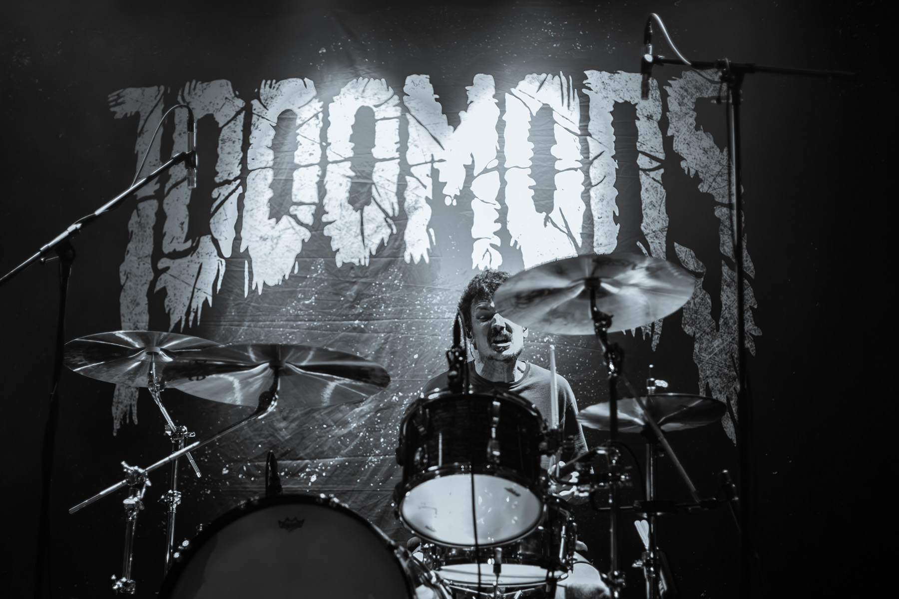 Blue Moone Festival Saturday 2026