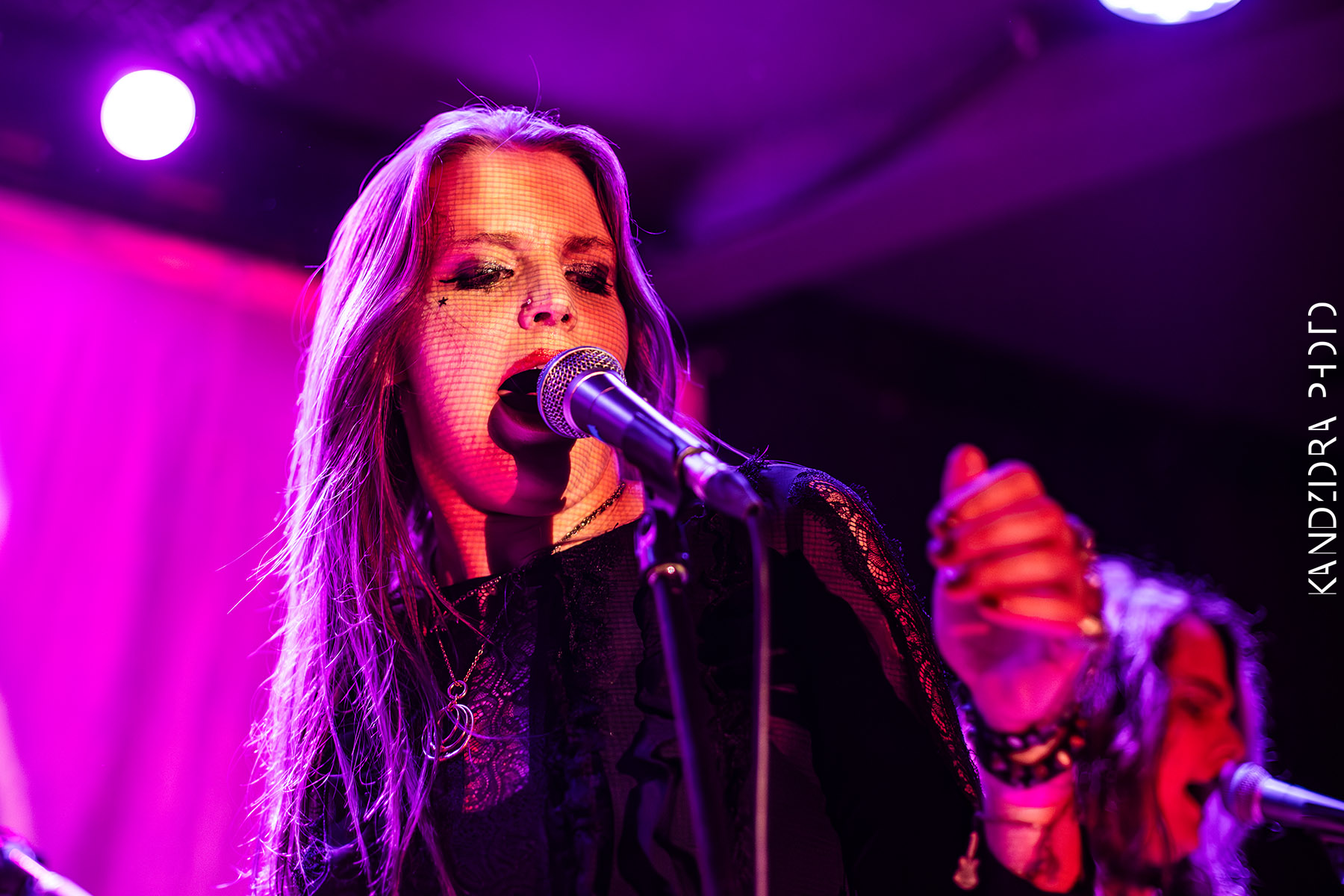 Blues Bumps Fest 2026 - Friday