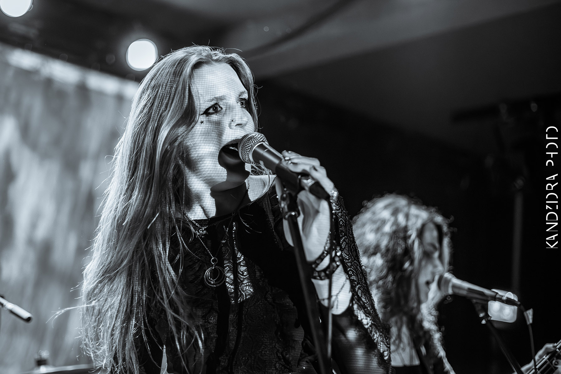 Blues Bumps Fest 2026 - Friday