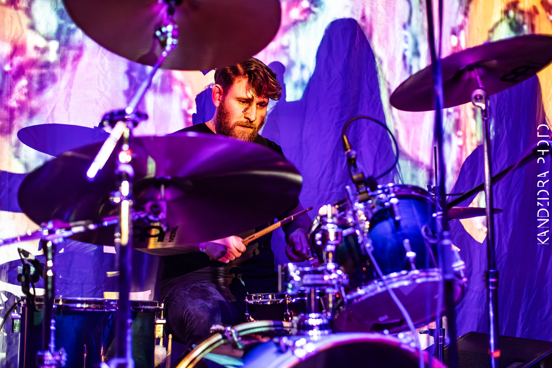 Blues Bumps Fest 2026 - Friday