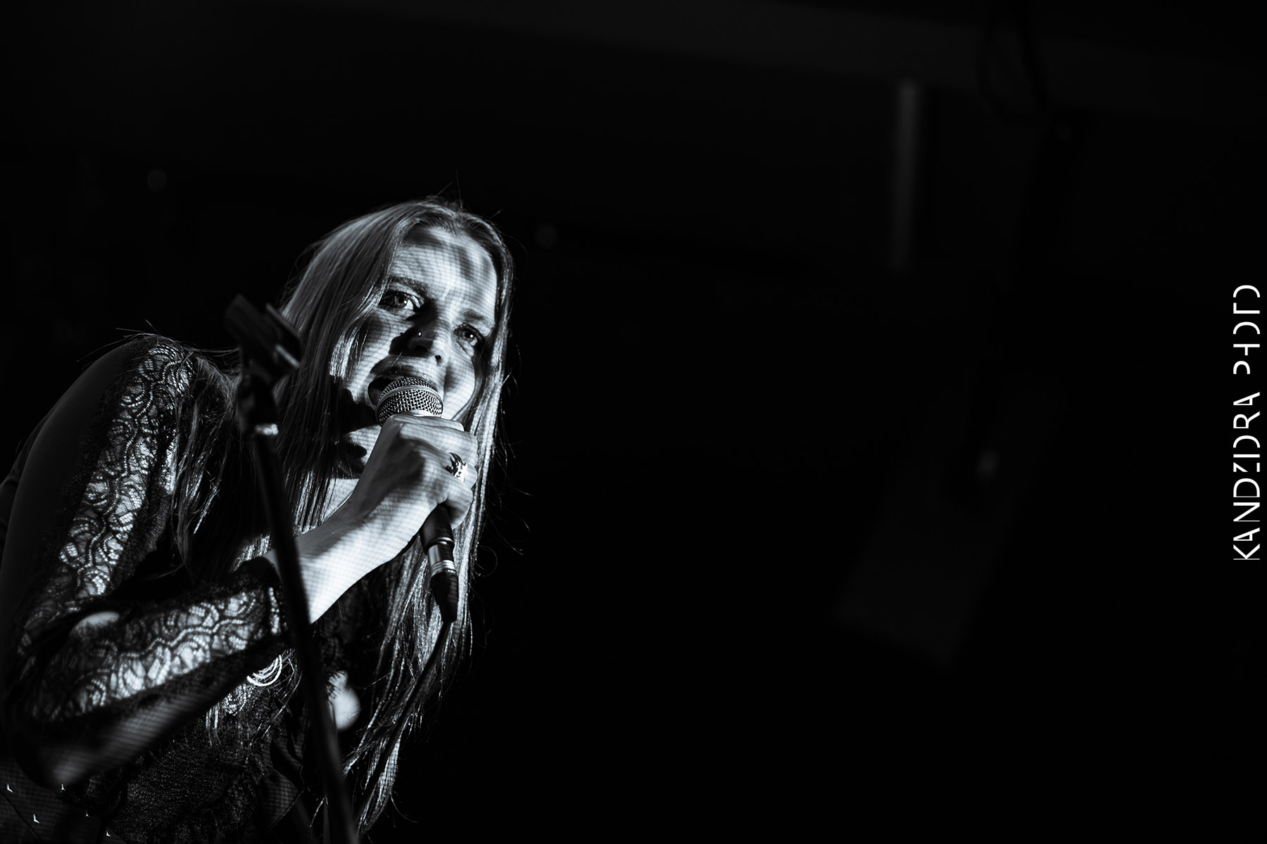 Blues Bumps Fest 2026 - Friday