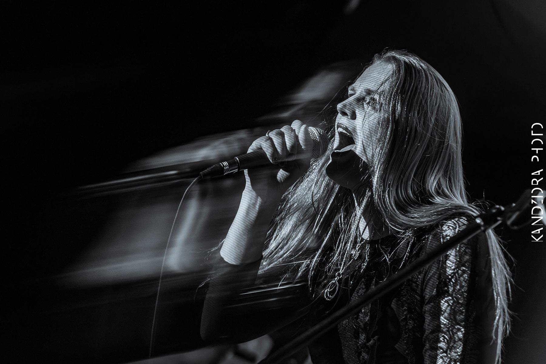 Blues Bumps Fest 2026 - Friday