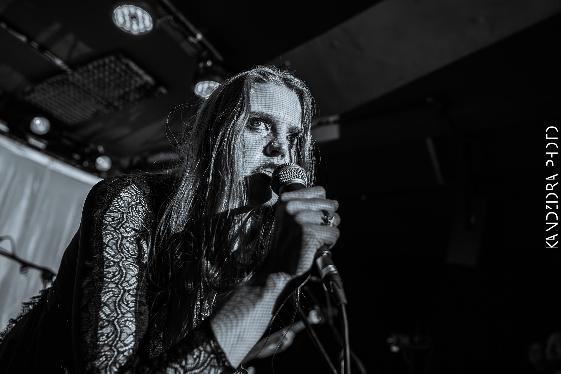 Blues Bumps Fest 2026 - Friday