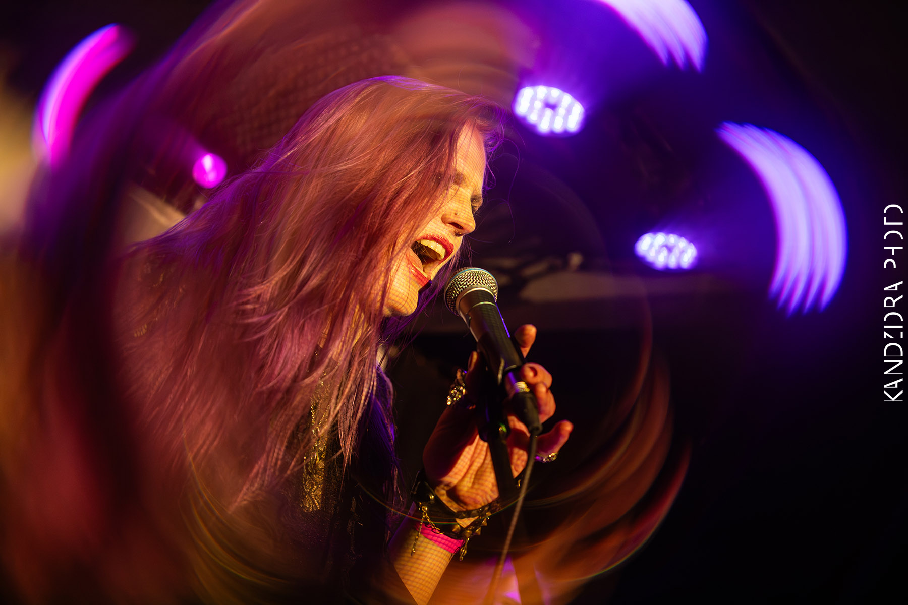 Blues Bumps Fest 2026 - Friday