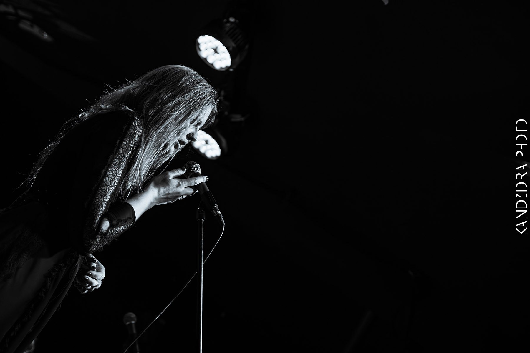 Blues Bumps Fest 2026 - Friday