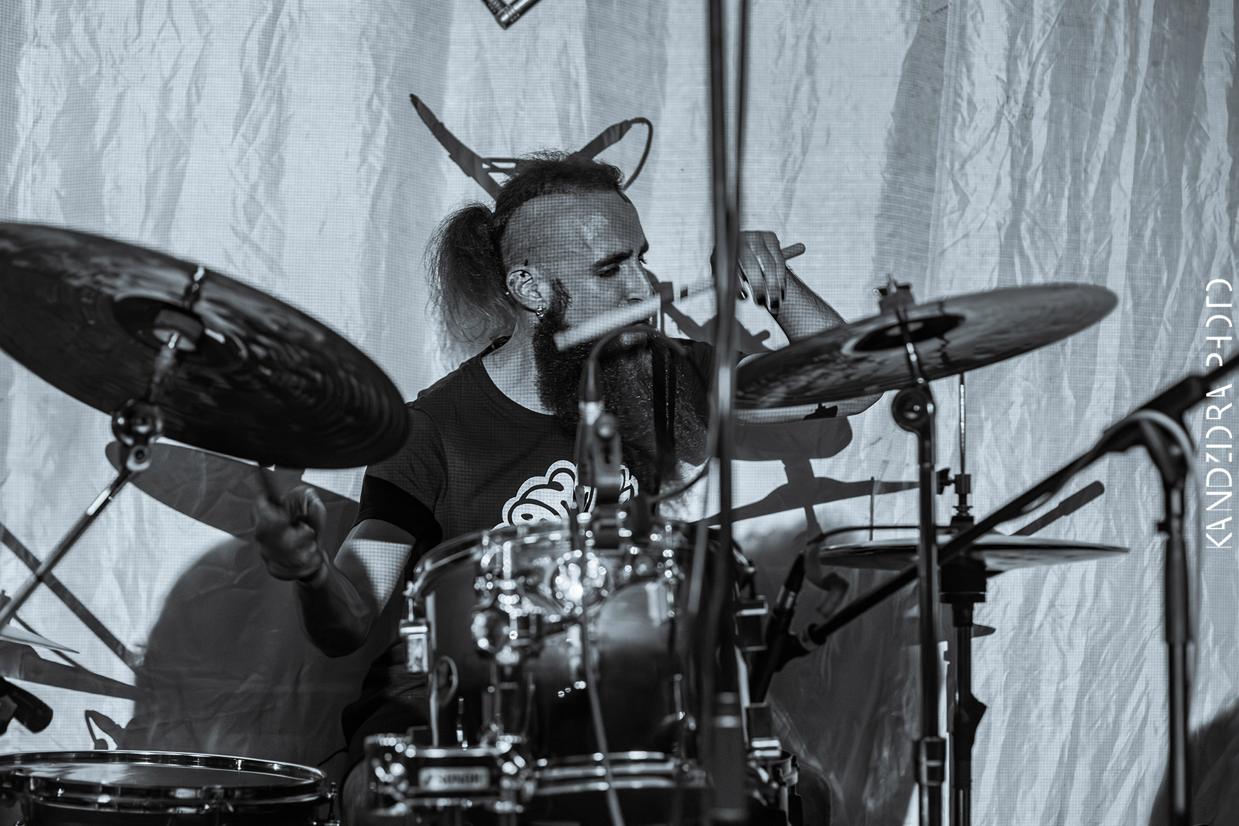 Blues Bumps Fest 2026 - Friday