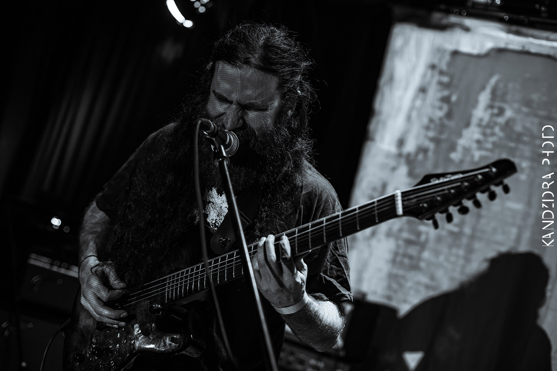 Blues Bumps Fest 2026 - Friday