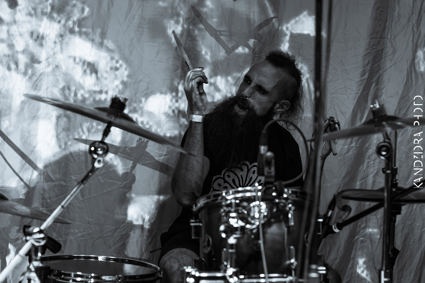 Blues Bumps Fest 2026 - Friday