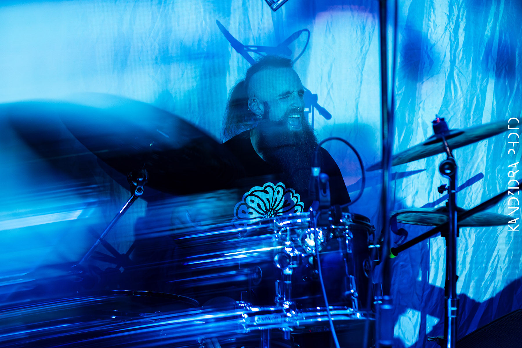 Blues Bumps Fest 2026 - Friday