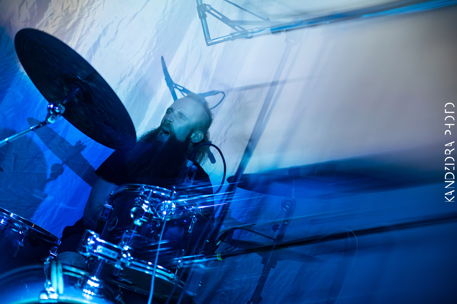 Blues Bumps Fest 2026 - Friday