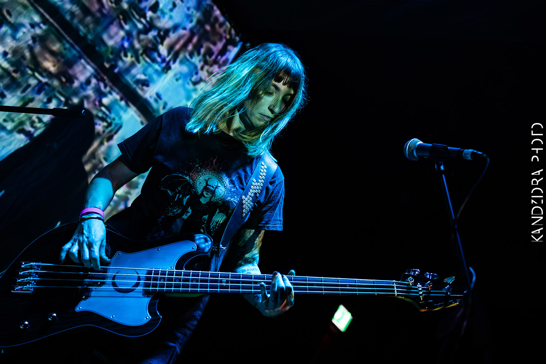 Blues Bumps Fest 2026 - Friday