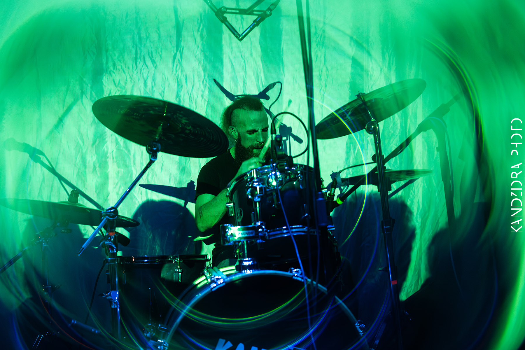 Blues Bumps Fest 2026 - Friday