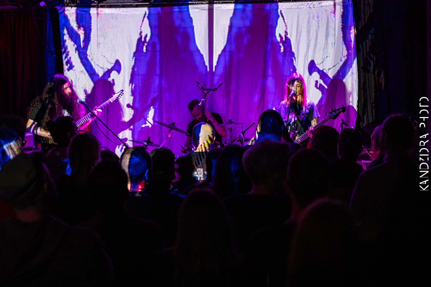 Blues Bumps Fest 2026 - Friday