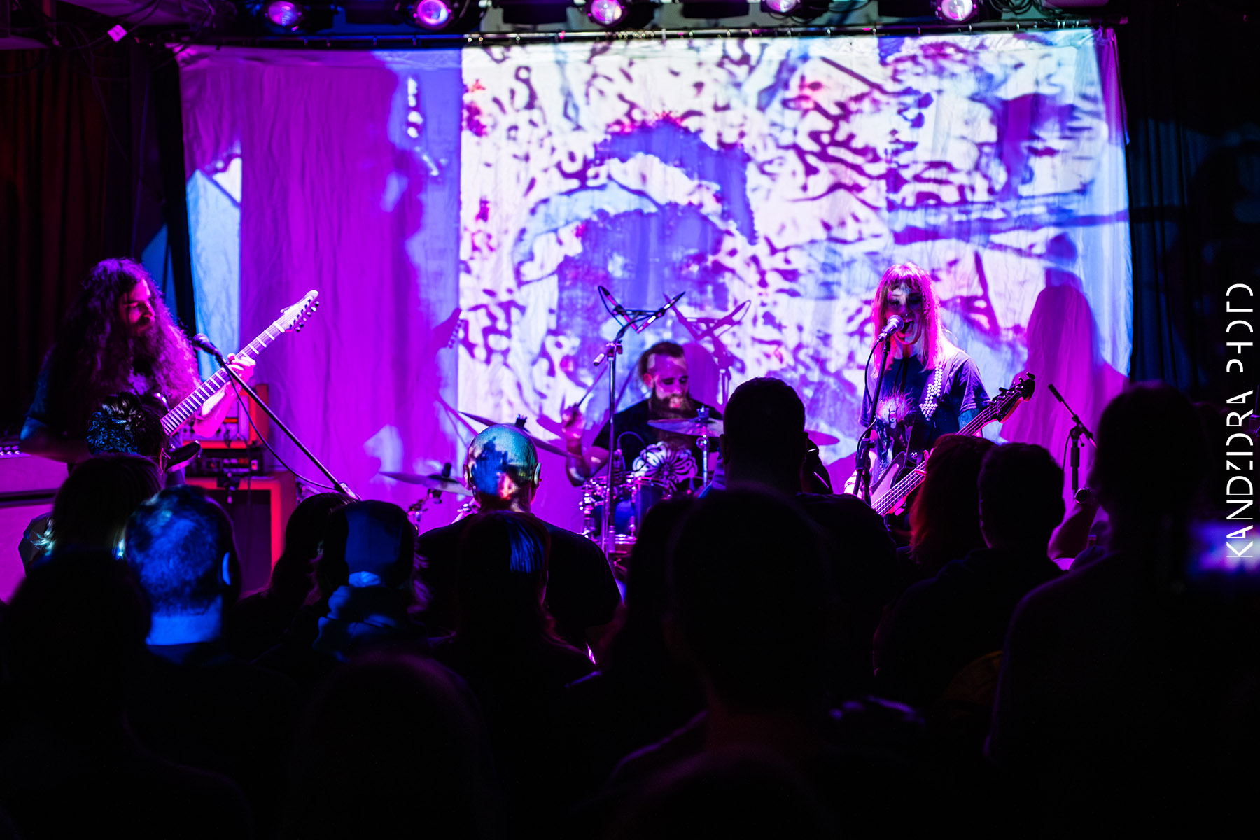 Blues Bumps Fest 2026 - Friday