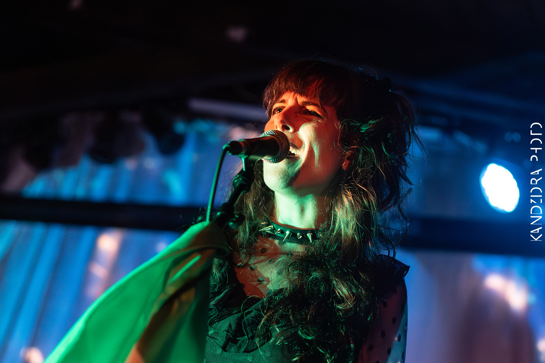 Blues Bumps Fest 2026 - Saturday