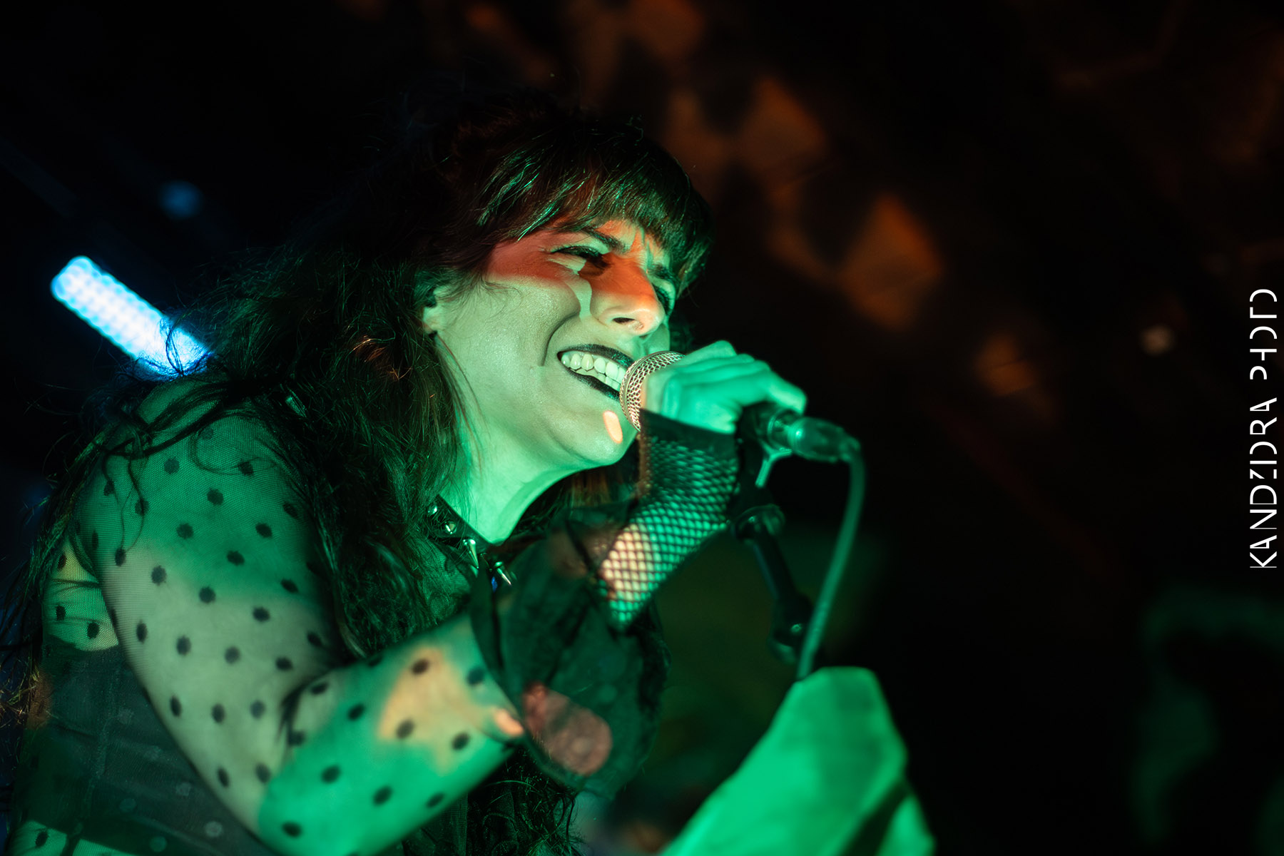 Blues Bumps Fest 2026 - Saturday