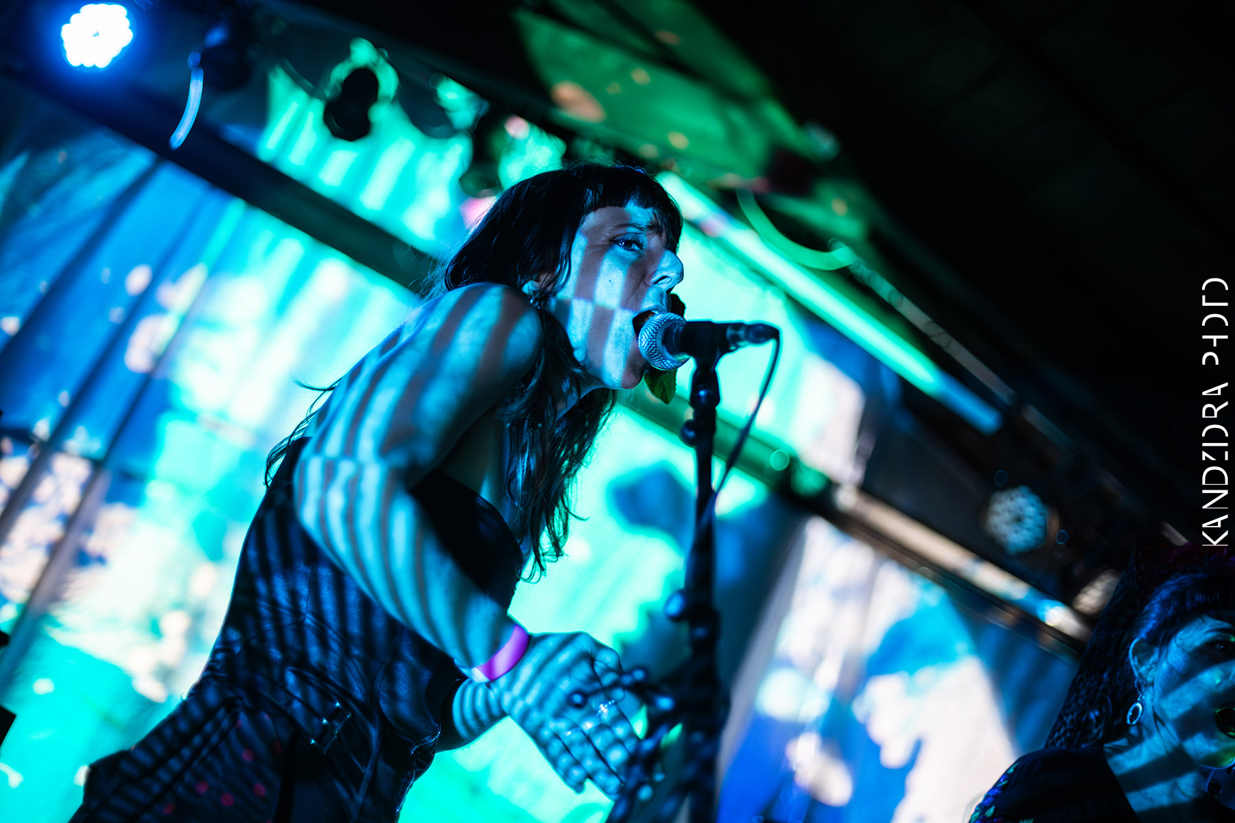 Blues Bumps Fest 2026 - Saturday