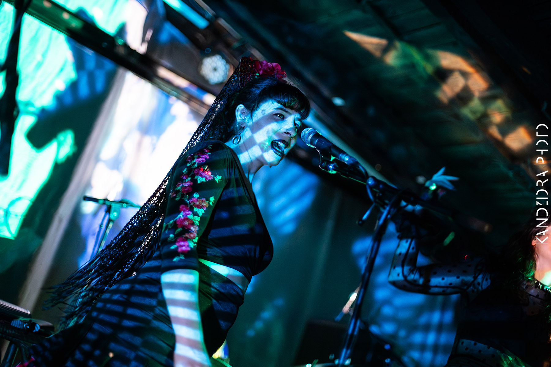 Blues Bumps Fest 2026 - Saturday