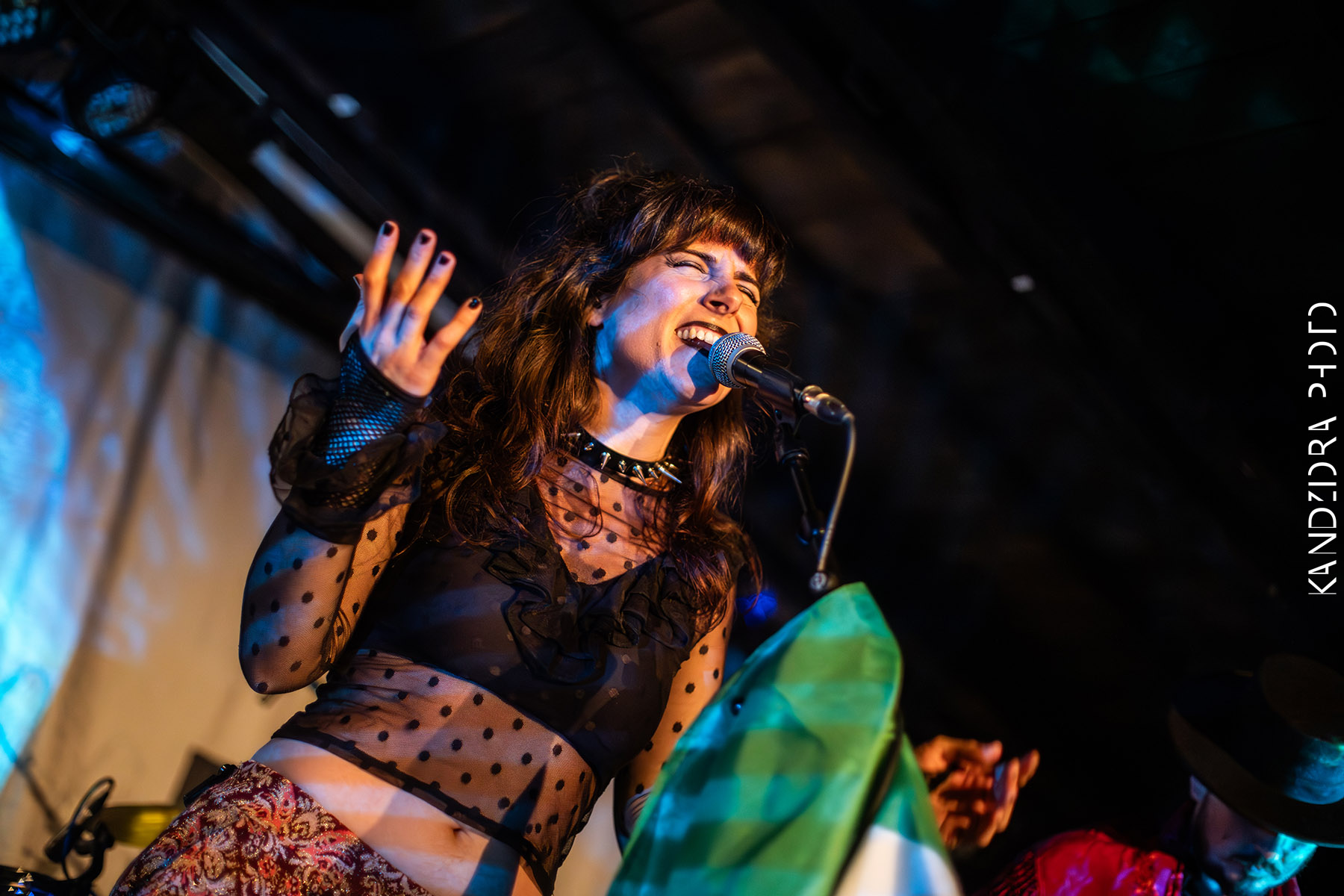 Blues Bumps Fest 2026 - Saturday