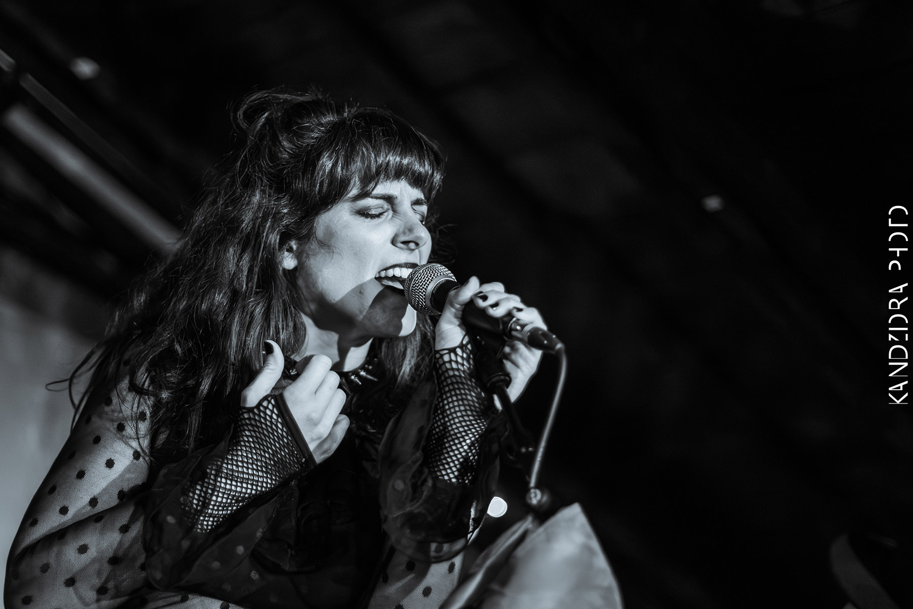 Blues Bumps Fest 2026 - Saturday