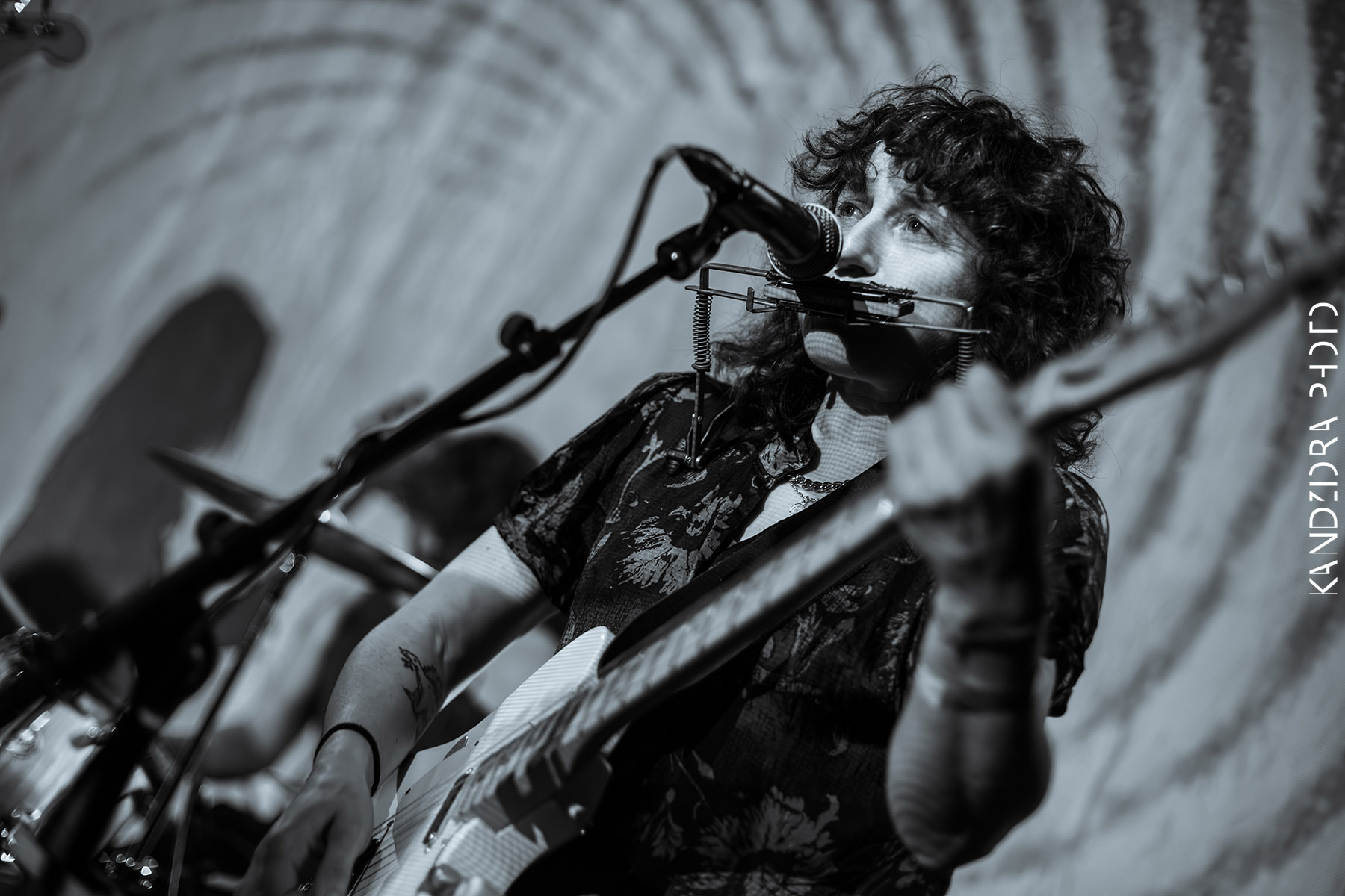 Blues Bumps Fest 2026 - Saturday