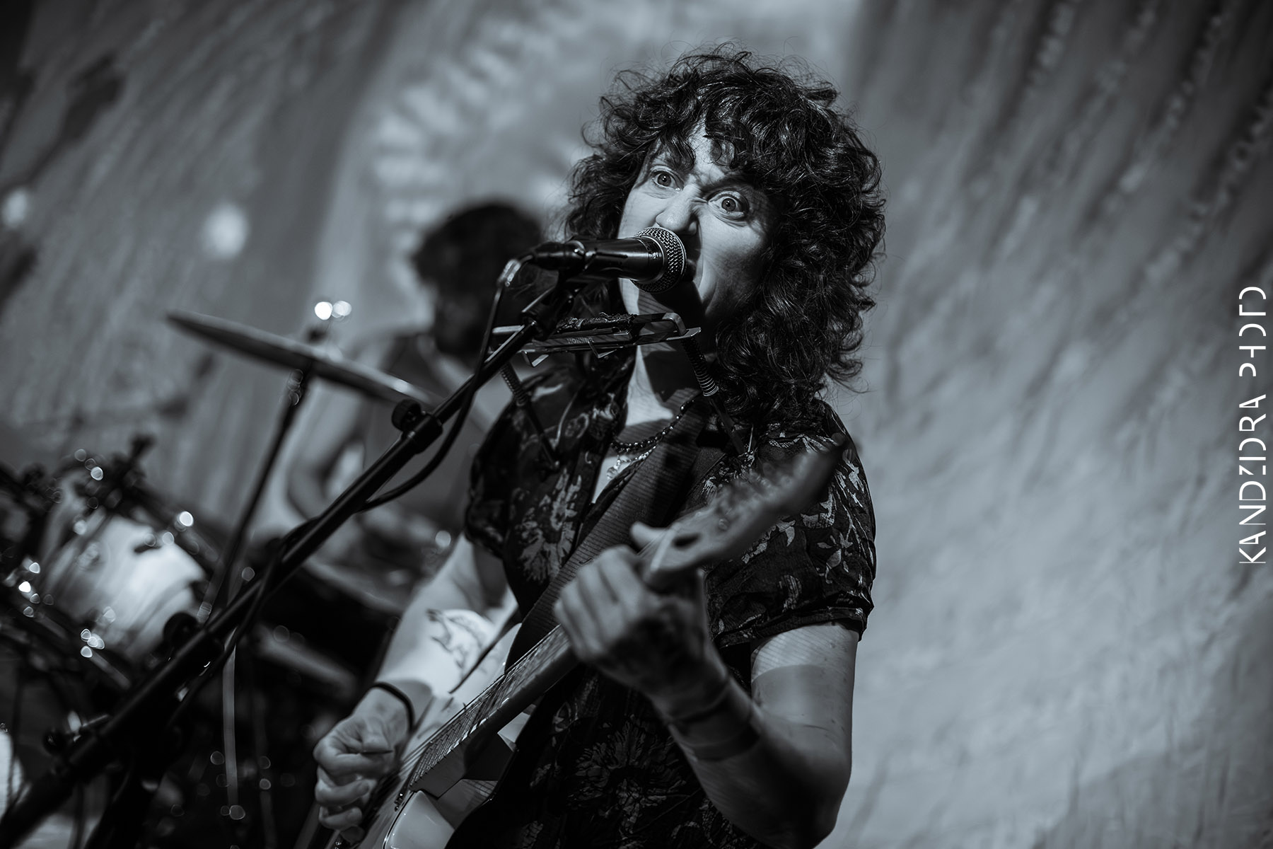 Blues Bumps Fest 2026 - Saturday