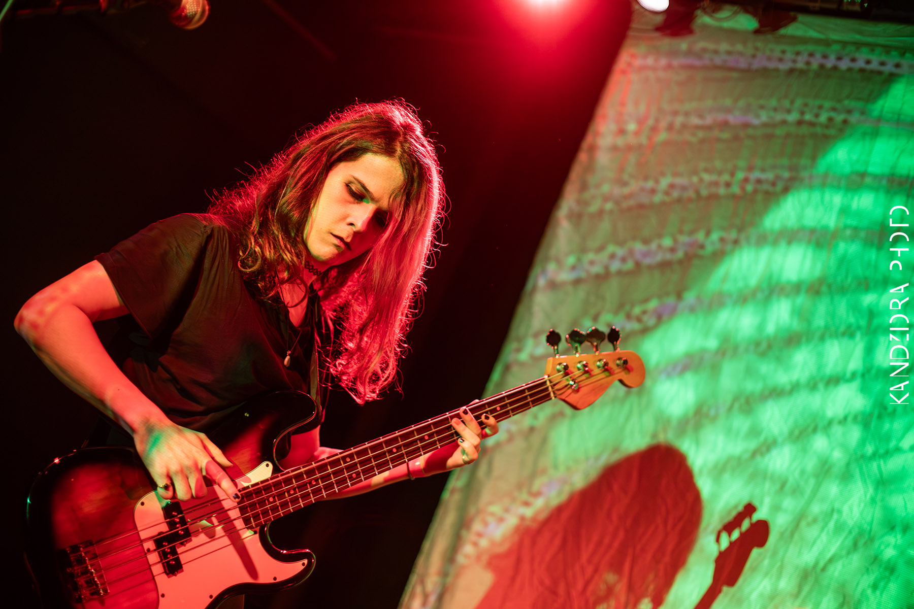 Blues Bumps Fest 2026 - Saturday