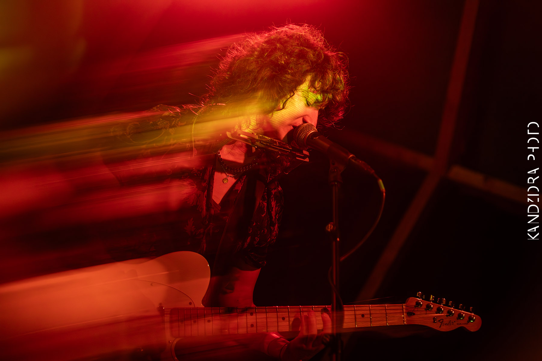 Blues Bumps Fest 2026 - Saturday