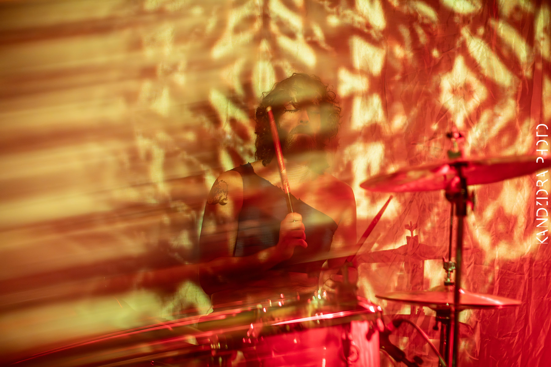 Blues Bumps Fest 2026 - Saturday