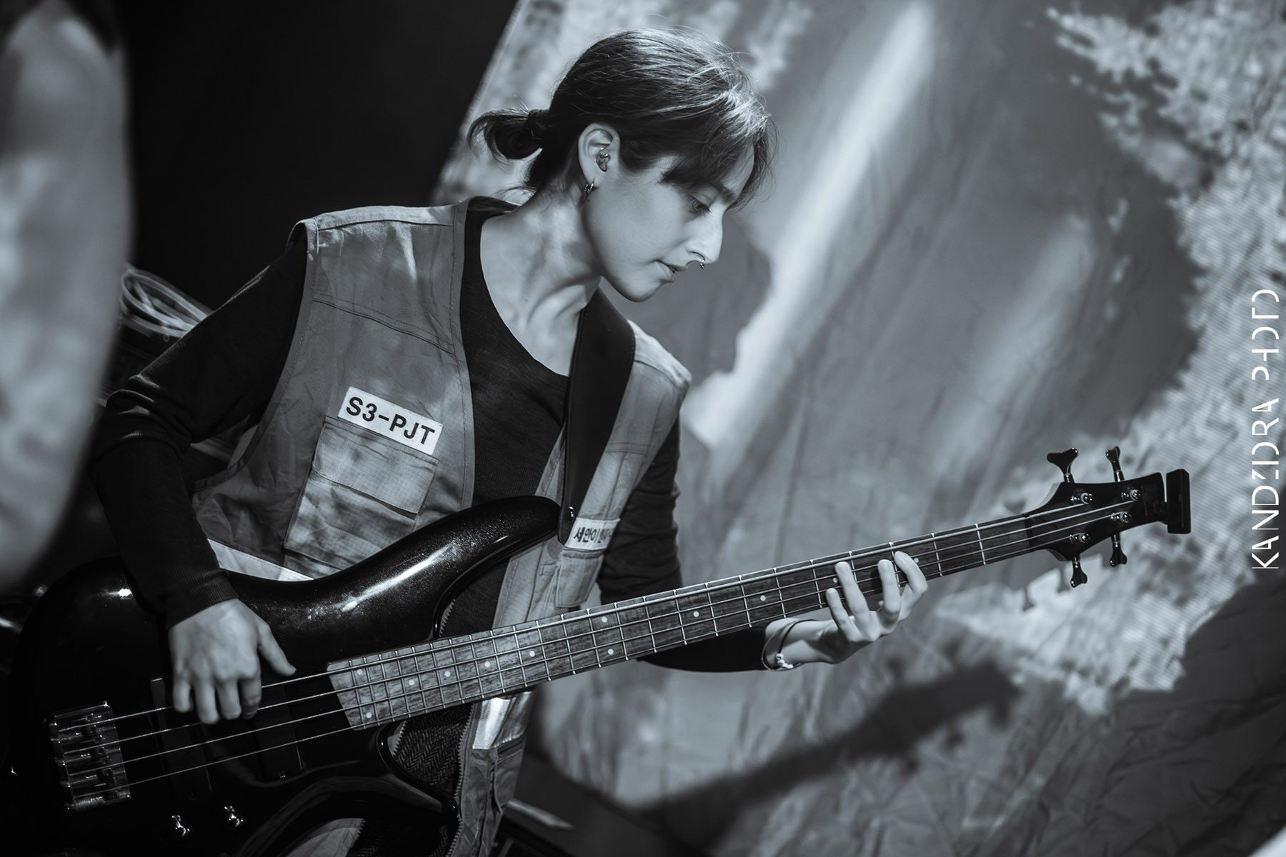 Blues Bumps Fest 2026 - Saturday