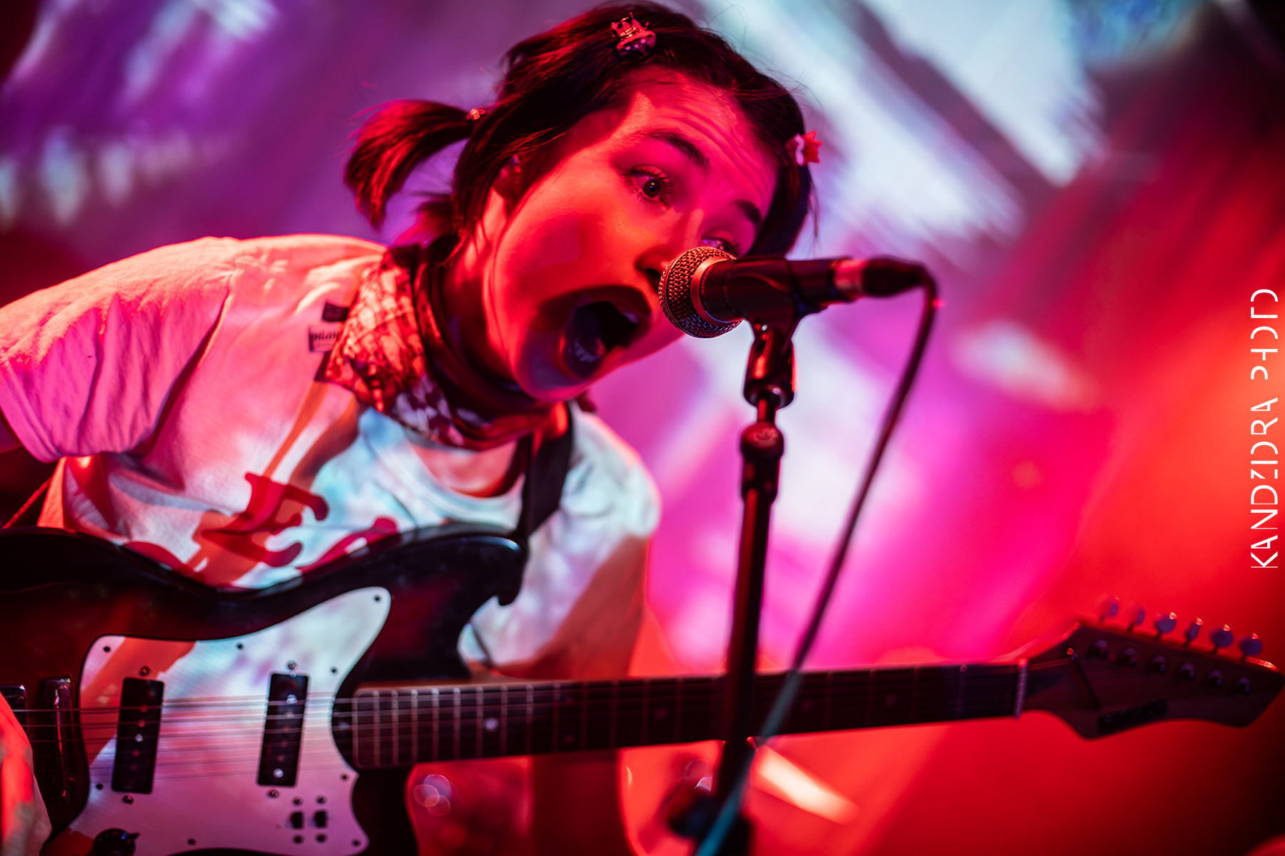 Blues Bumps Fest 2026 - Saturday