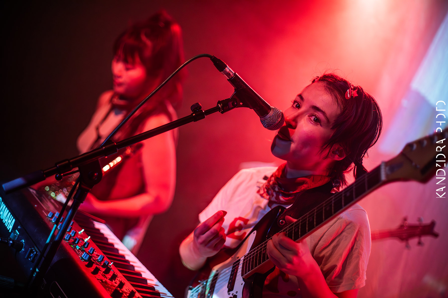 Blues Bumps Fest 2026 - Saturday