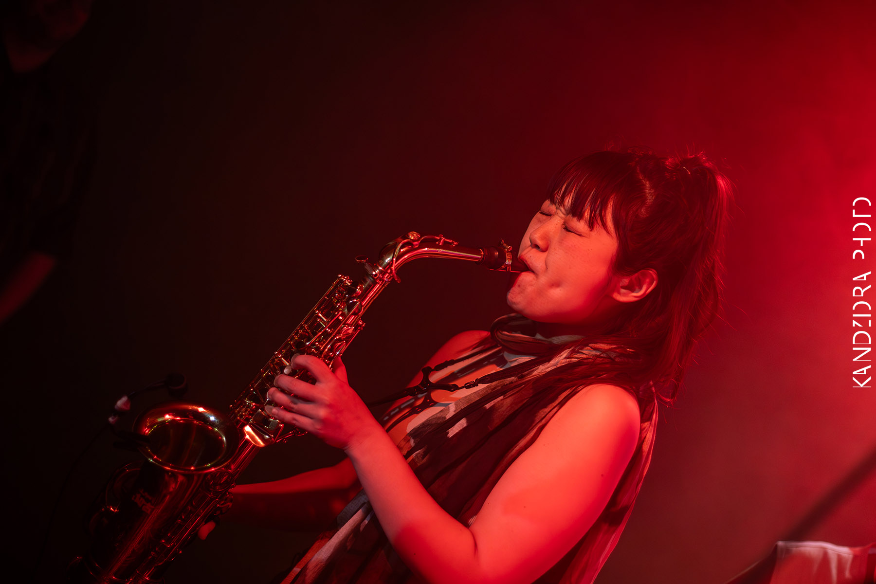 Blues Bumps Fest 2026 - Saturday