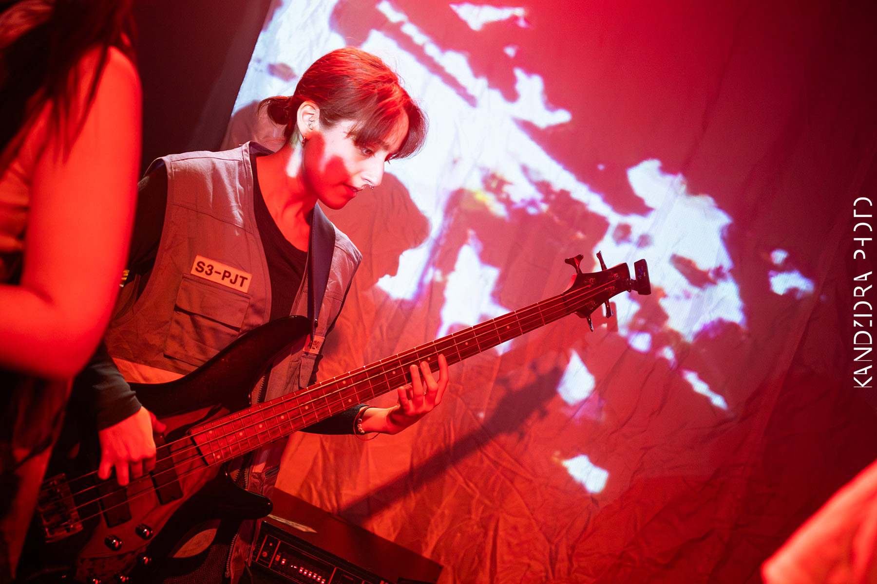 Blues Bumps Fest 2026 - Saturday