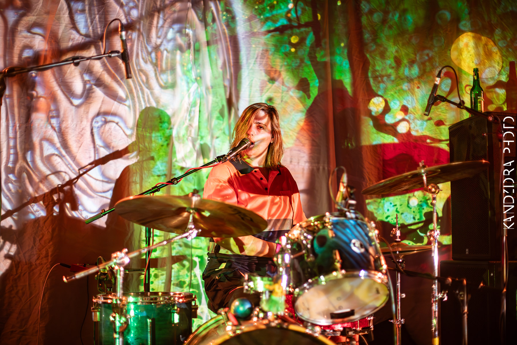 Blues Bumps Fest 2026 - Saturday