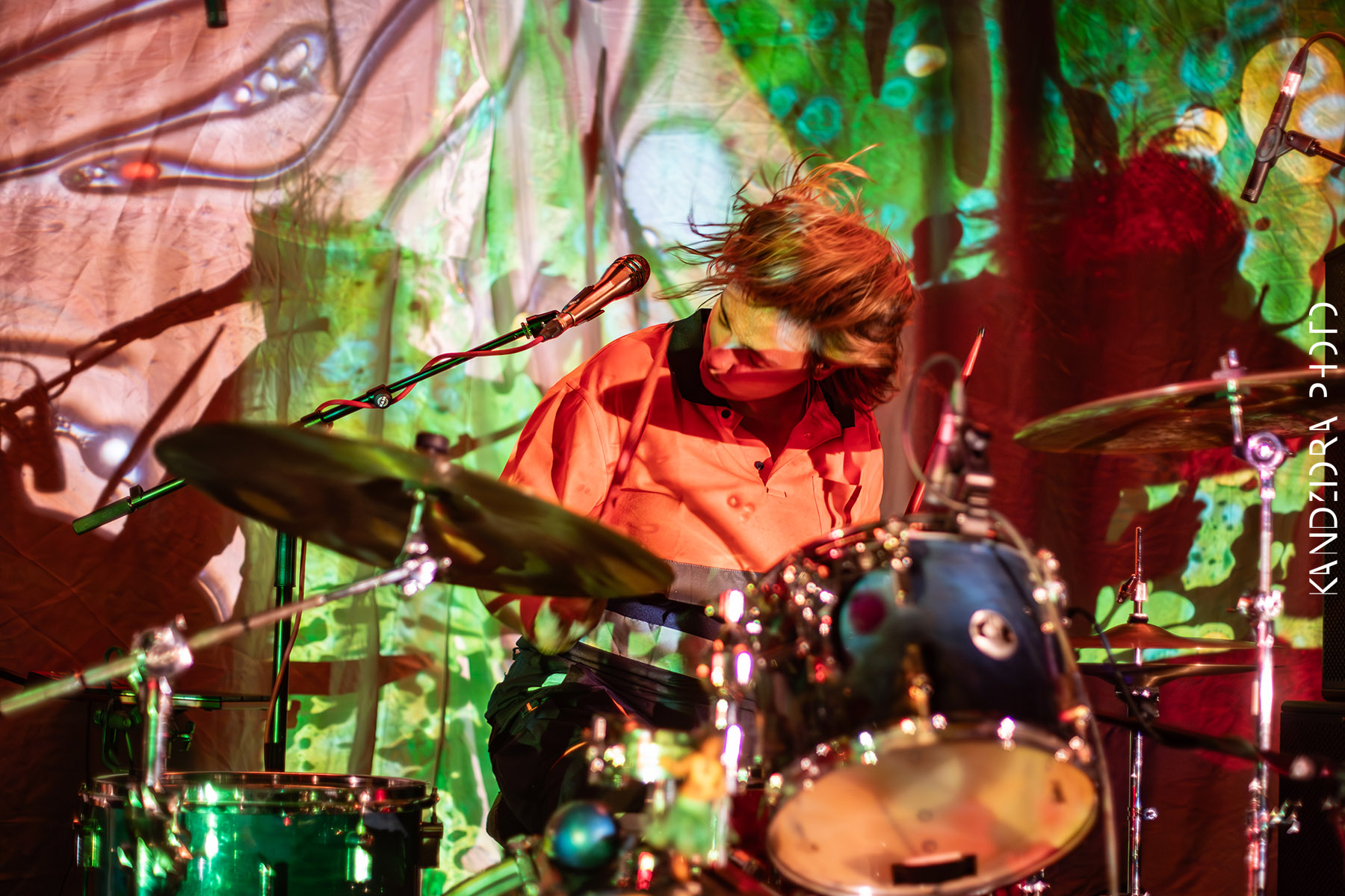 Blues Bumps Fest 2026 - Saturday