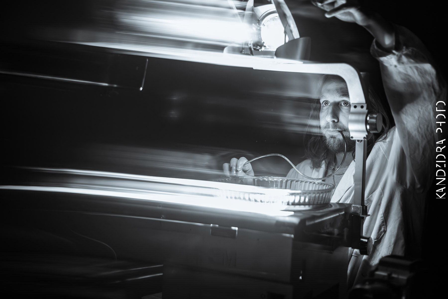 Blues Bumps Fest 2026 - Saturday