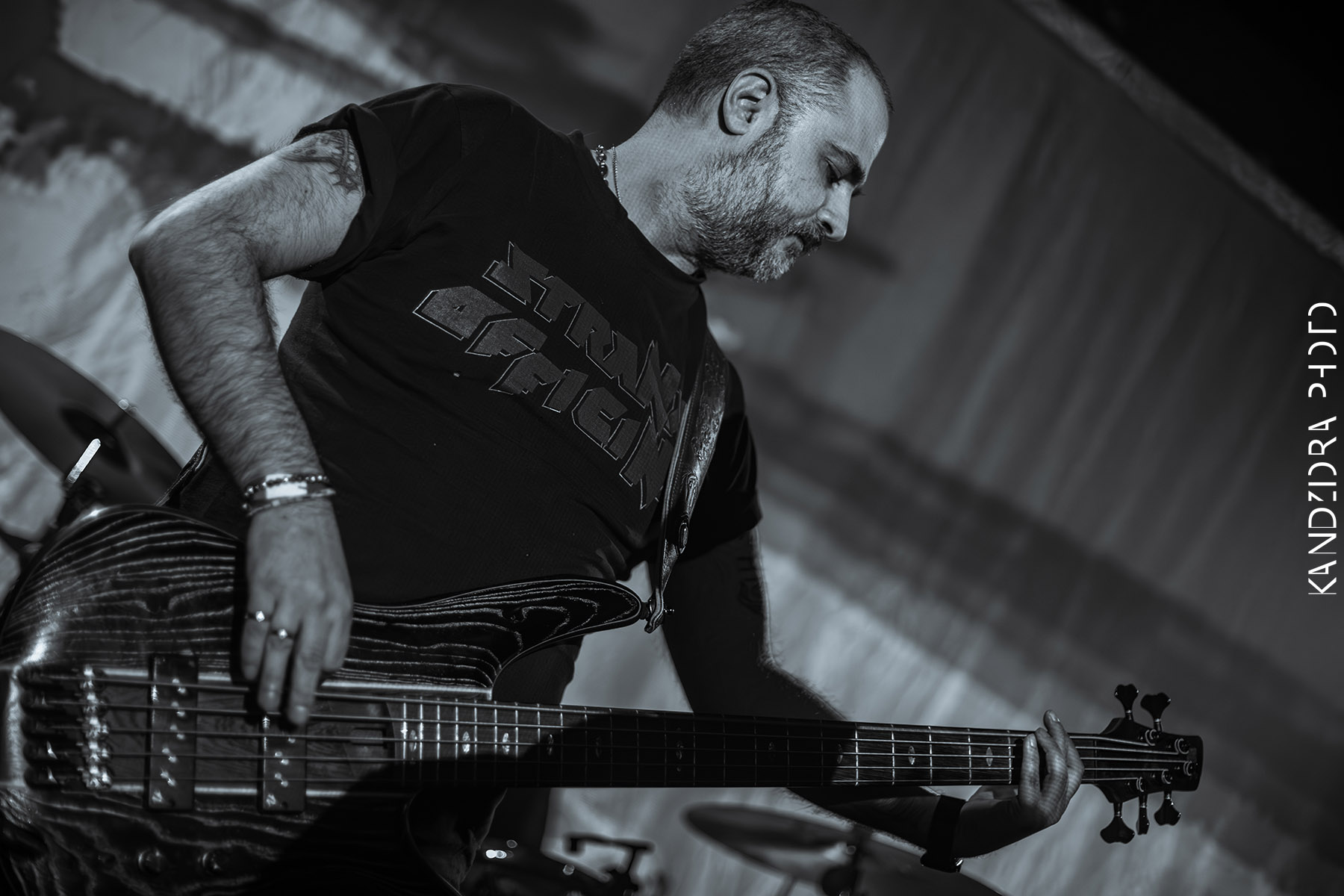 Blues Bumps Fest 2026 - Saturday