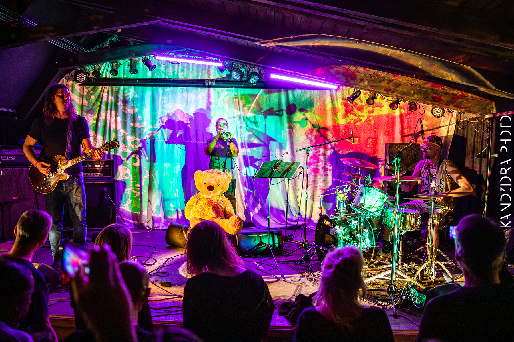 Blues Bumps Fest 2026 - Saturday