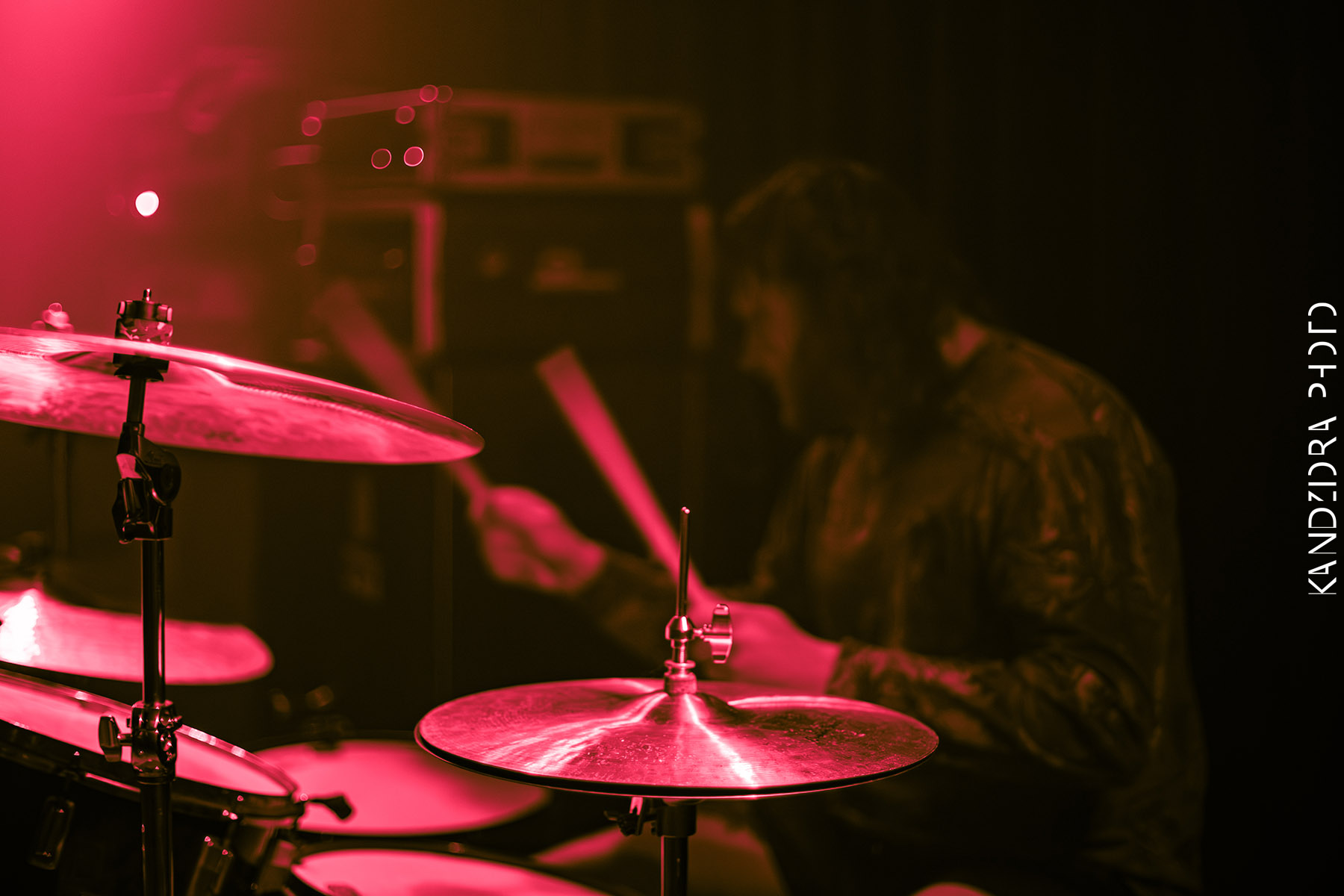 Howling Wolves Record Release Party 2026 - Neue Zukunft