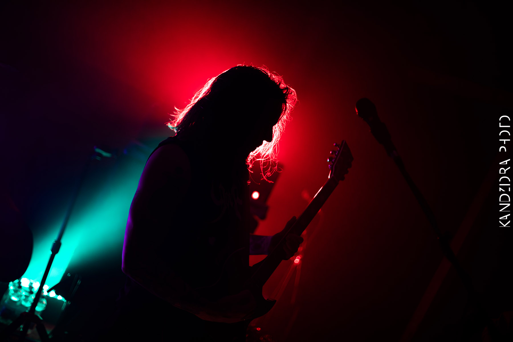 Howling Wolves Record Release Party 2026 - Neue Zukunft