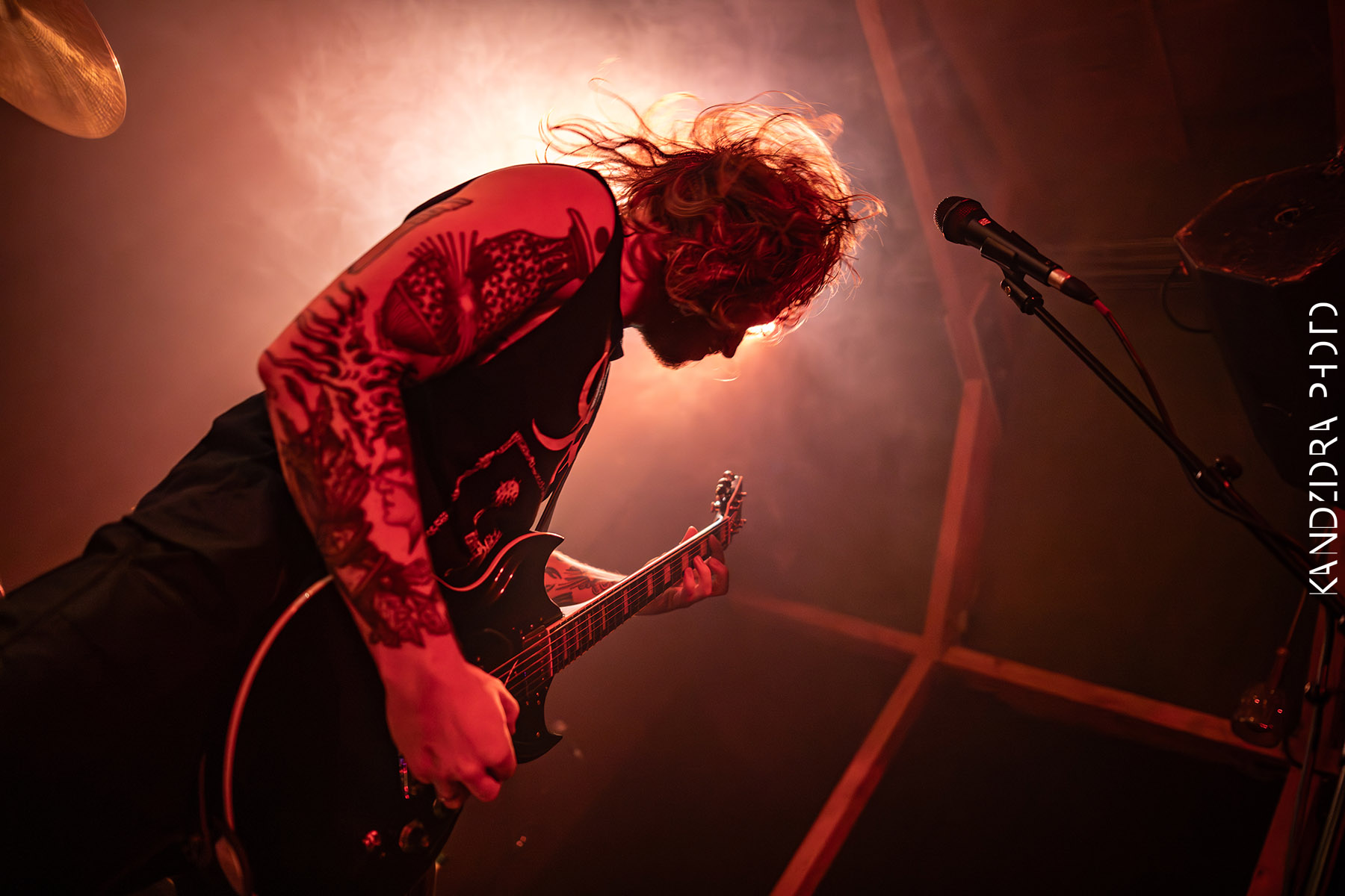 Howling Wolves Record Release Party 2026 - Neue Zukunft