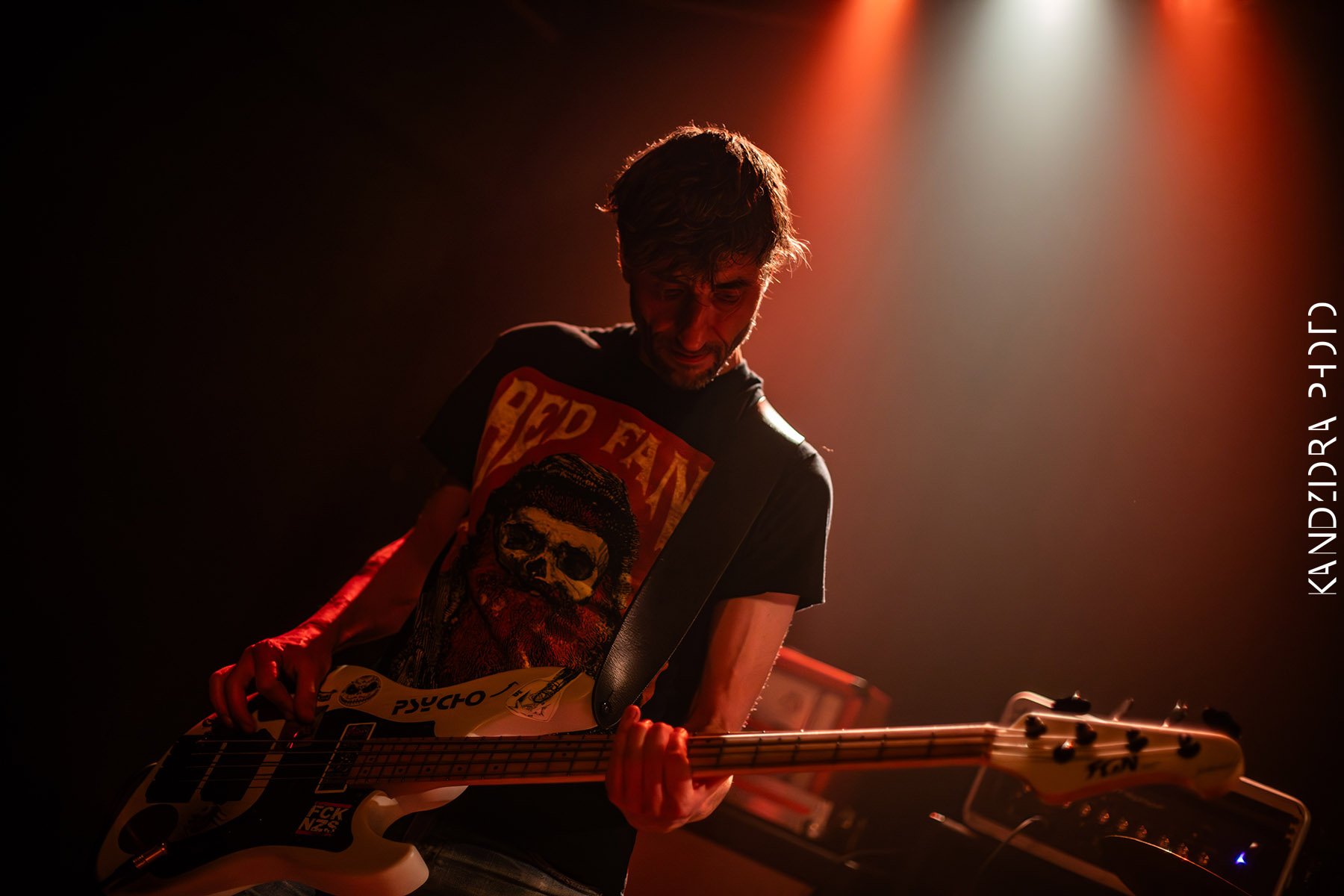 Howling Wolves Record Release Party 2026 - Neue Zukunft