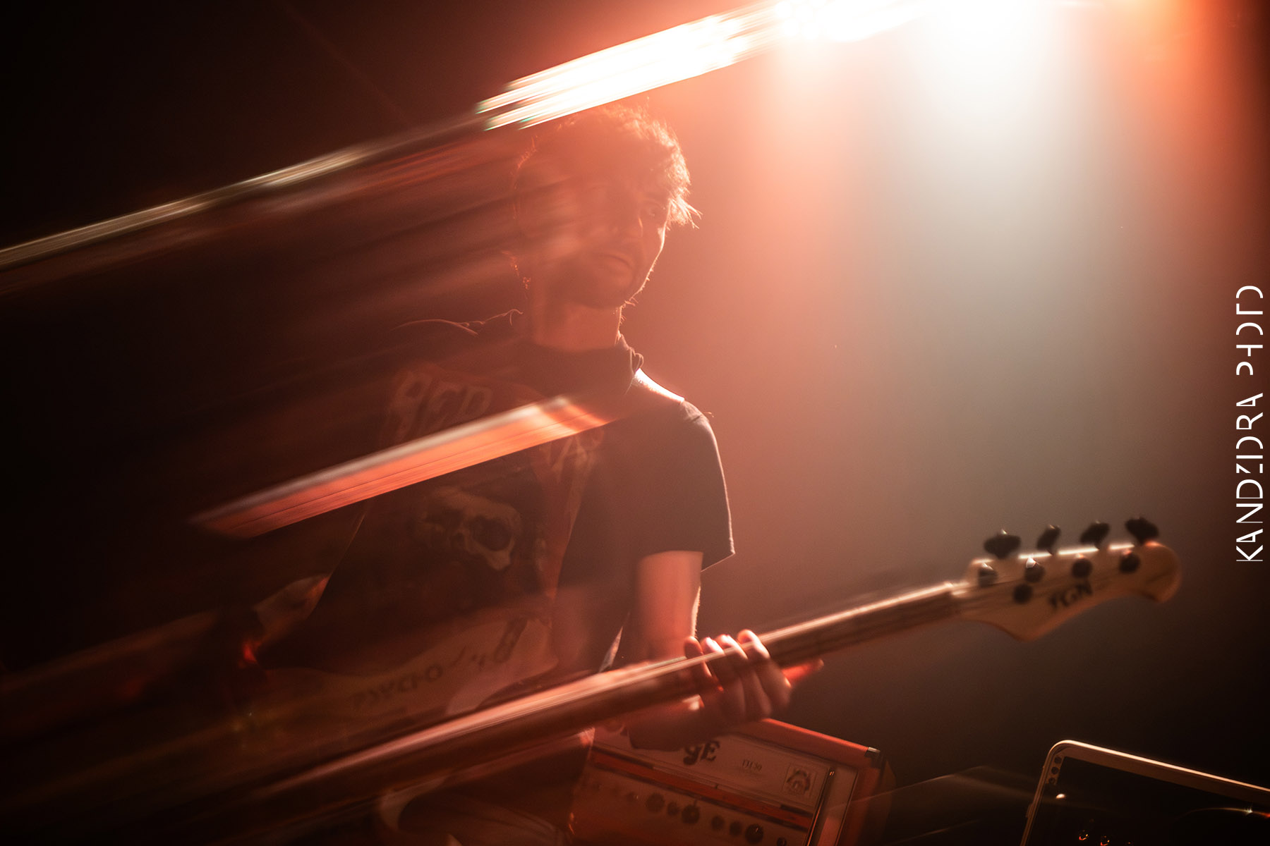 Howling Wolves Record Release Party 2026 - Neue Zukunft