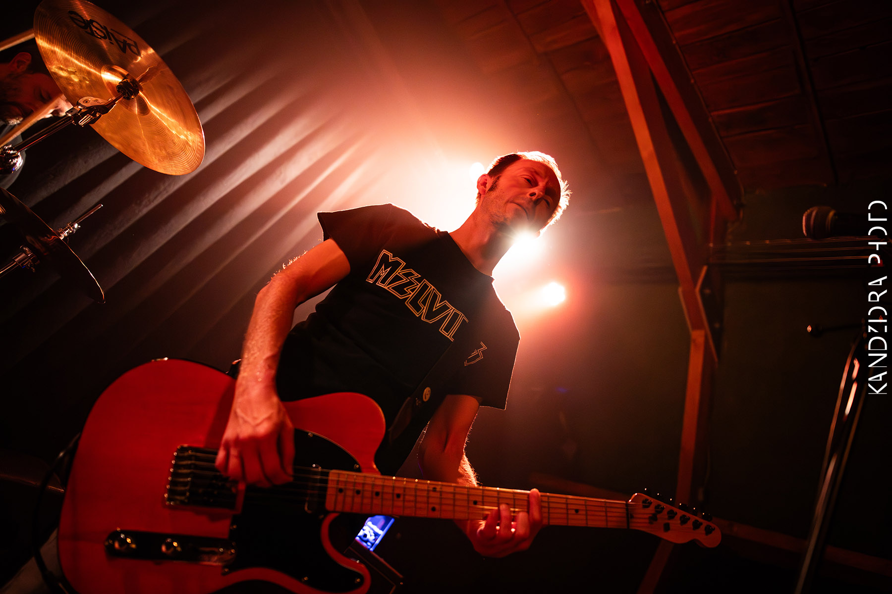 Howling Wolves Record Release Party 2026 - Neue Zukunft