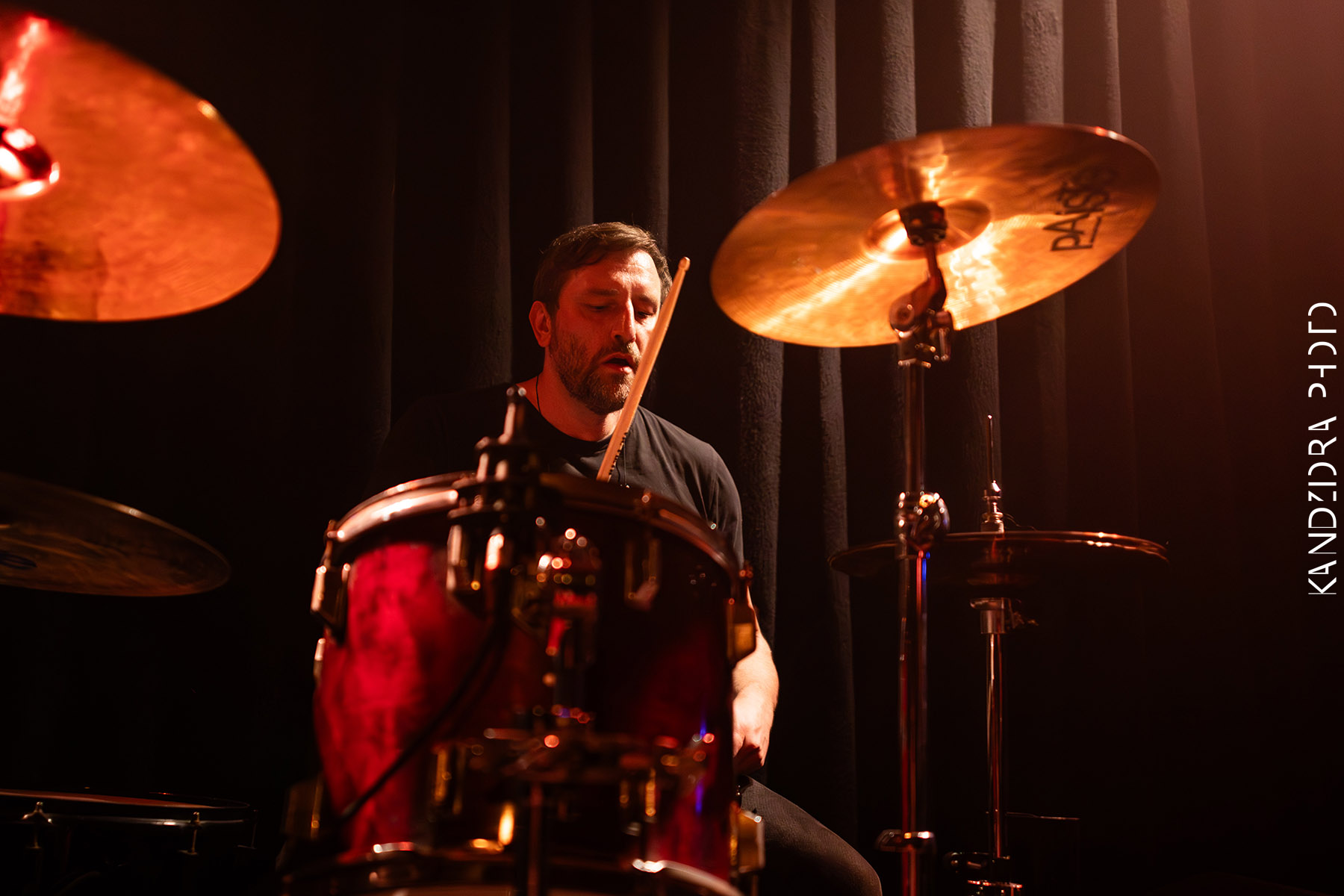 Howling Wolves Record Release Party 2026 - Neue Zukunft