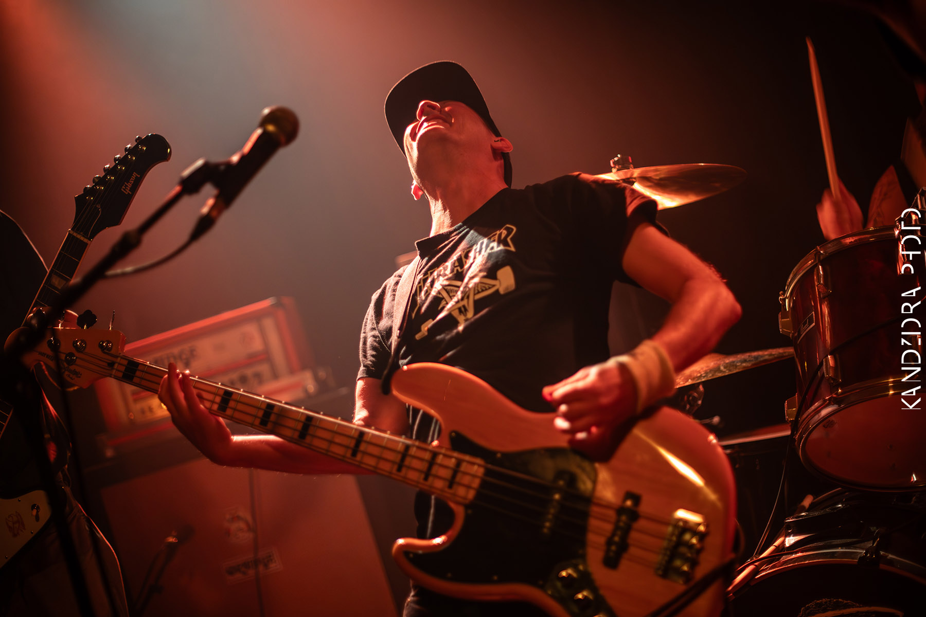 Howling Wolves Record Release Party 2026 - Neue Zukunft