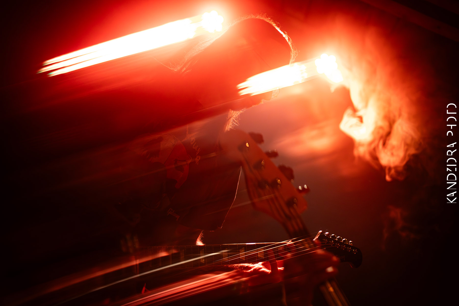 Howling Wolves Record Release Party 2026 - Neue Zukunft
