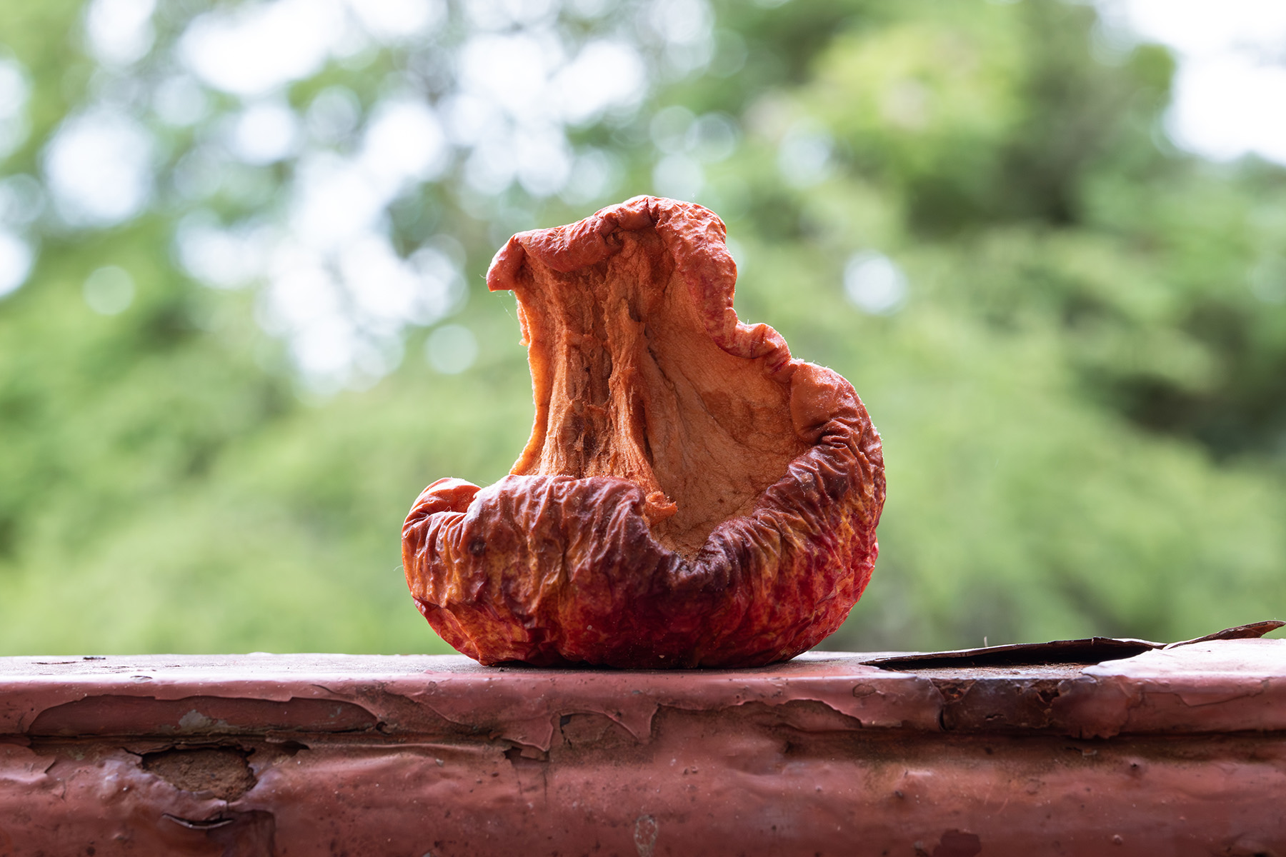 Roadtrip though Balkan 2025