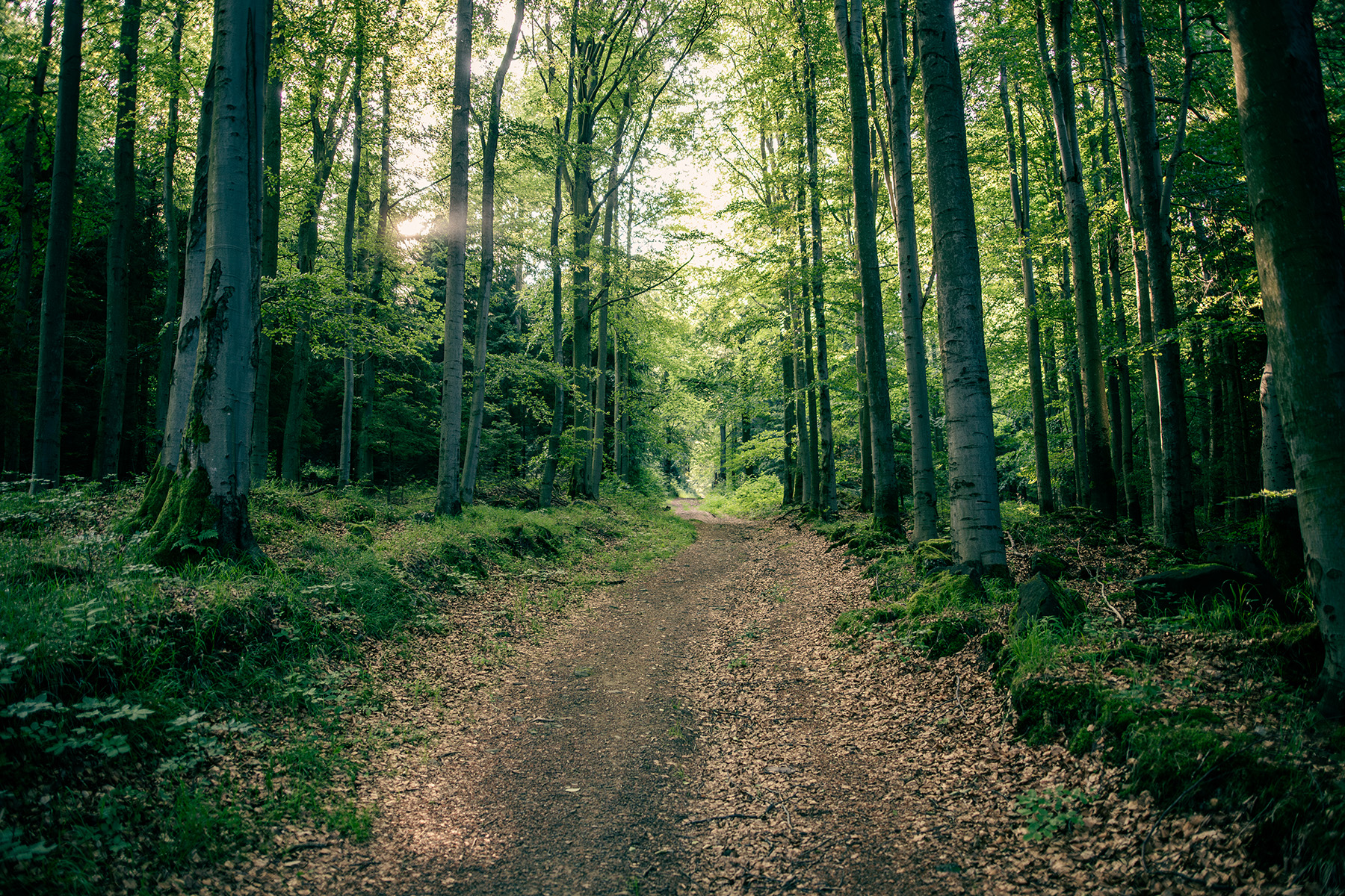 Roadtrip though Balkan 2025